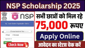 NSP Scholarship Yojana में आवेदन कैसे करें?
