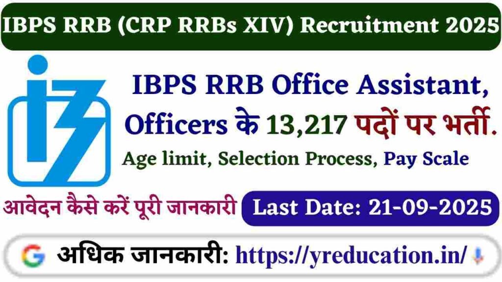 IBPS RRB XIV Recruitment 2025: Apply Online for 13,217 Office Assistant & Officer Posts | Last Date 21 September