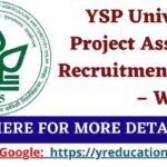 YSP University Project Associate Recruitment 2025 – Walk in